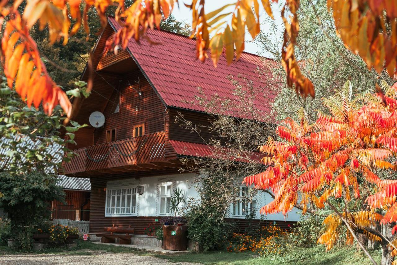 Pensiunea Poiana De Vis 스체비차 외부 사진